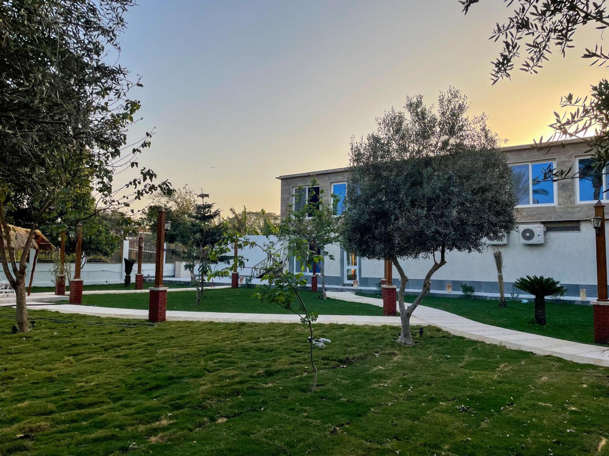 Gold Island Resort Giza Bagian luar foto
